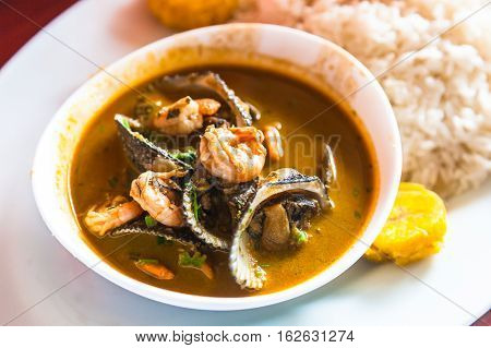 Mixed shell and shrimp 