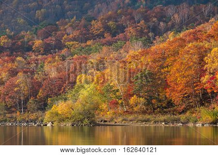 Beautiful autumn scene at Biwa lake on Mt.Shigakogen, Japan.