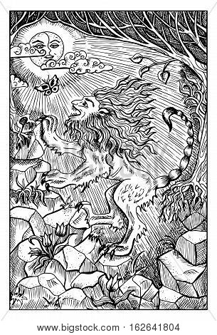 Manticore. Monster with lion body, human face. Fantasy magic creatures collection. Hand drawn vector illustration. Engraved line art drawing, graphic mythical doodle. Template for card game, poster