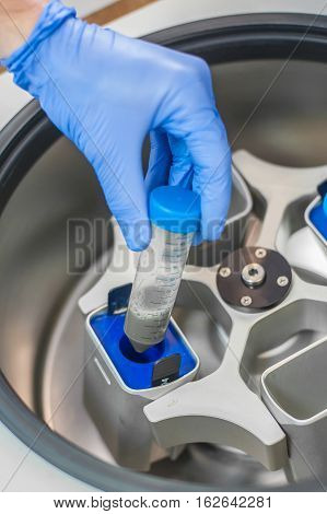 Technician Loading A Sample To Centrifuge Machine