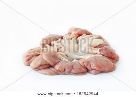Chitterlings internal organs of pig isolated on white background.