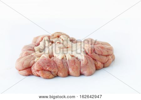 Chitterlings internal organs of pig isolated on white background.