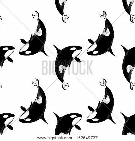 Grampus killer whale seamless pattern in doodle style on white background. Wild ocean animal wallpaper. Vector illustration for printing onto fabric.