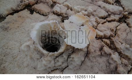 Salt texture inside Dallol volcanic crater in Danakil depression Afar Ethiopia