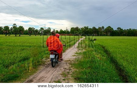 Landscape Of Countryside In Mekong Delta, Vietnam