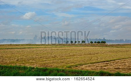 Landscape Of Countryside In Mekong Delta, Vietnam