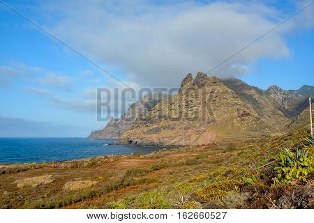 Ocean Coast's View