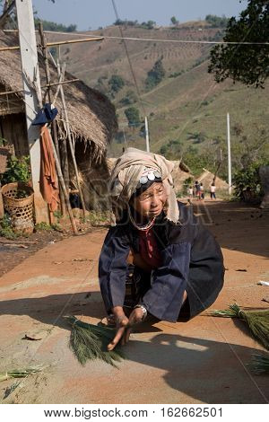 Mae Salong, Thailand - January 28, 2008 : 
In the province of Mae Salong, north of Thailand. 
An old woman of the Akha tribe, dried clumps of herbs, which would be used to make the roof of houses in bamboo.