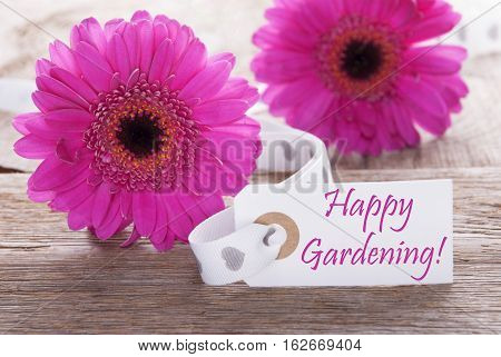 Label With English Text Happy Gardening. Pink Spring Gerbera Blossom. Vintage, Rutic Or Aged Wooden Background. Card For Spring Greetings.