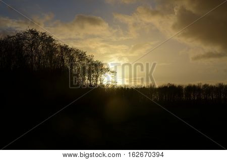 Sunligth Tree Silhouette Field Sky Morning Evening Sunset