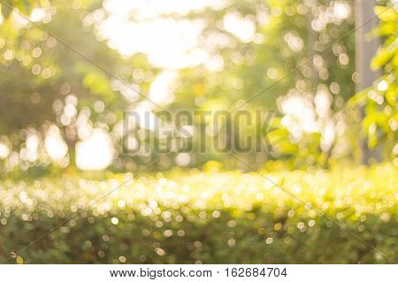 Blurred tree branch. Abstract spring background. Green natural background of out of focus forest or bokeh.