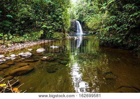 Waterfall in the middle of the Ecuadorian jungle