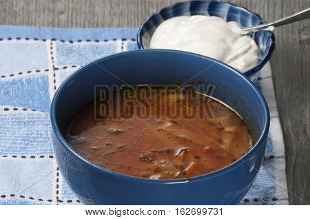 Russian cabbage soup (Shchi) in ceramic bowl