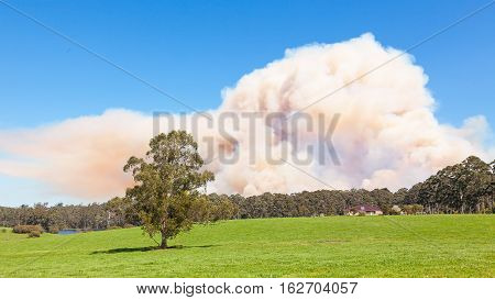 A forest fire near the town of Pemberton in Western Australia.
