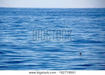 Catching the view by water of the horizont