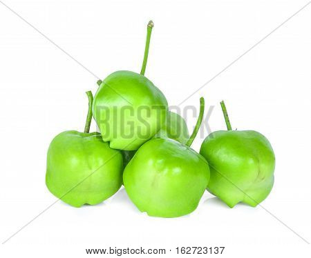 Yellow oleander; Lucky nut isolated on white background