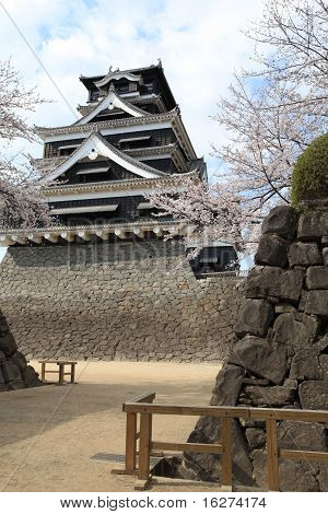 El castillo de japonés negro