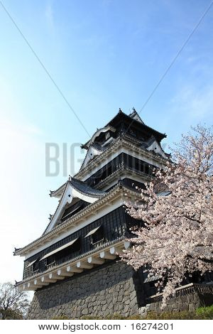 黒の日本の城