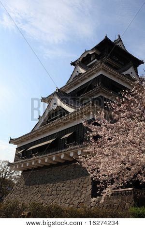 黒の日本の城