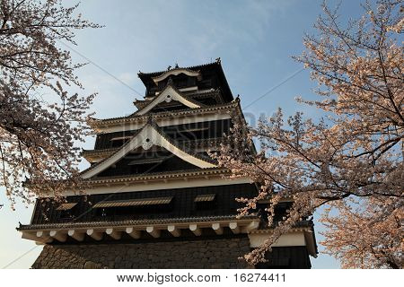 黒の日本の城