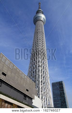 Skytree