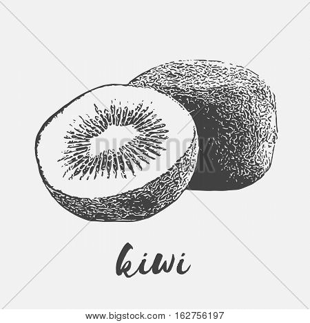 Organic kiwi fruit pulp dietary product green and brown fine hairs skin