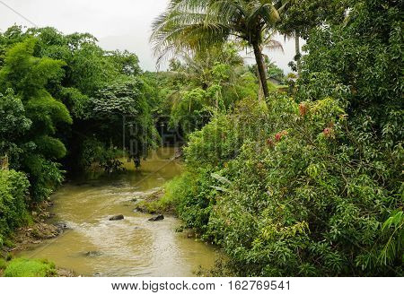 A dirty river flow photo taken in Bogor Indonesia java