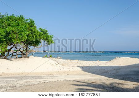 Amazing View From Baby Beach On Aruba Island