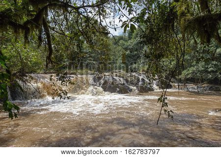 Small fast river in Kakamega Forest. Kenya, Africa