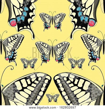 Seamless Pattern Machaon Butterfly Close Up Europe. Vector Illustration