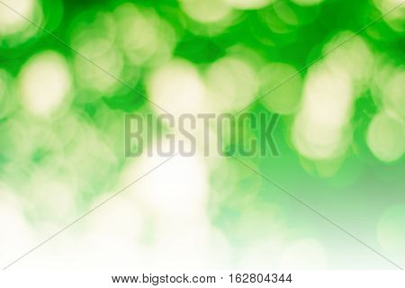 color tone blurred nature background. light and the sky to make it shone through the leaves. Pastel color tones.multicolored white hearts wall paper.vintage natural colorful.sun warm glowball summer. pattern.