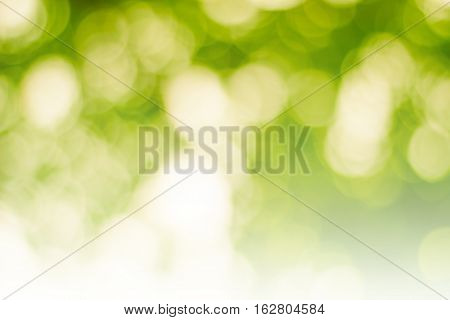 color tone blurred nature background. light and the sky to make it shone through the leaves. Pastel color tones.multicolored white hearts wall paper.vintage natural colorful.sun warm glowball summer. pattern.