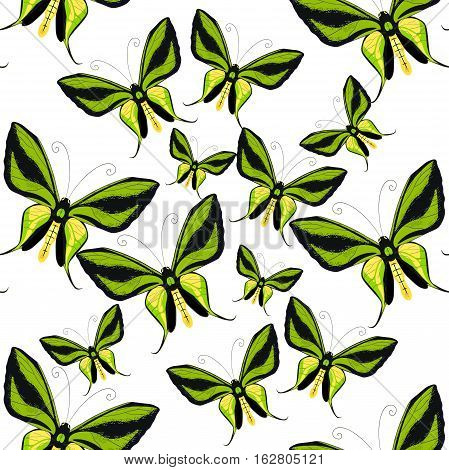 Ornithoptera Paradisea, Butterfly Wings Of A Bird Seamless Pattern Vector Illustration