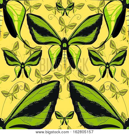 Ornithoptera Paradisea, Butterfly Wings Of A Bird Seamless Pattern Vector Illustration