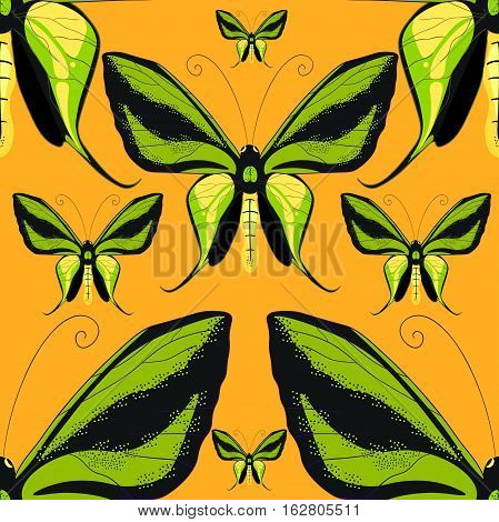 Ornithoptera Paradisea, Butterfly Wings Of A Bird Seamless Pattern Vector Illustration