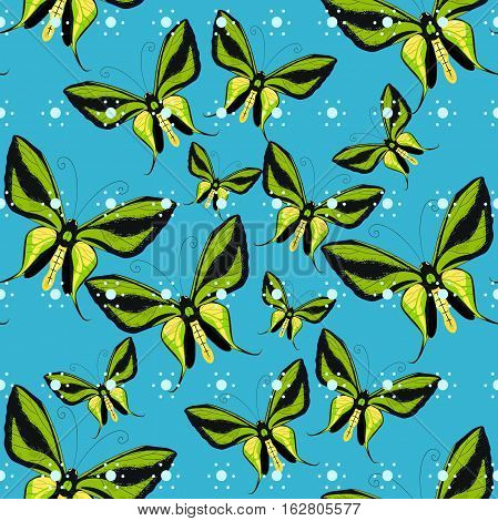 Ornithoptera Paradisea, Butterfly Wings Of A Bird Seamless Pattern Vector Illustration