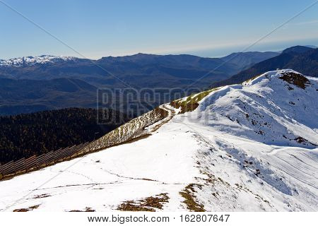 The Tops Of The Mountains Covered With Snow. The Slopes Are Thickets Of Yellow And Green Trees. In T