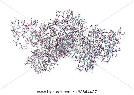 Lethal toxin of anthrax bacterium Bacillus anthracis isolated on white background, 3D illustration. Molecular background