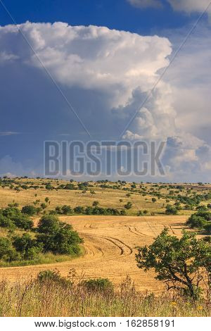 RURAL LANDSCAPE SUMMER. Alta Murgia National Park: Cornfield topped by clouds..Apulia (ITALY).Typical Apulian countryside of Murgia's plateau.