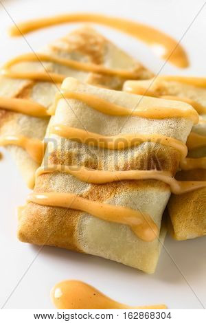 Hungarian Hortobagyi Palacsinta or Crepe a la Hortobagy a savory thin pancake filled with minced meat and served with a paprika and sour cream sauce based on the sauce of the meat photographed with natural light (Selective Focus Focus in the middle of the