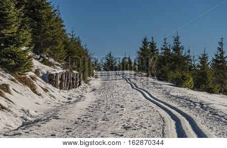 Sunny Day In Jeseniky Mountains Near Kralicky Sneznik Hill With Snow