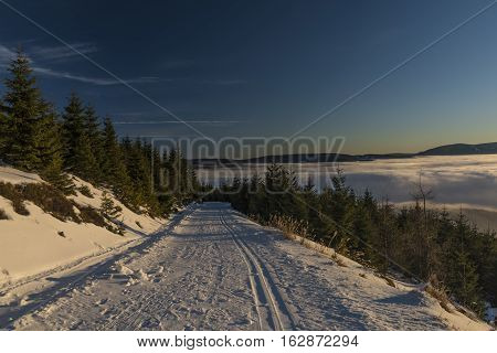 Sunrise In Jeseniky Mountains In Christmas Time Near Kralicky Sneznik Hill