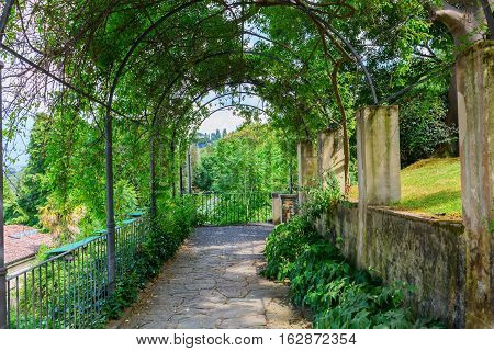 Tree Tunnel In The Giardino Bardini, Florence, Italy