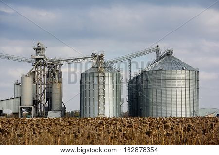 Towers of grain drying enterprise. Agricultural enterprise.