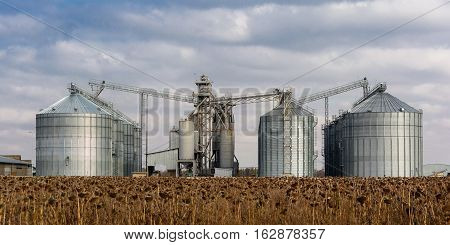 Towers of grain drying enterprise. Panorama. Agricultural enterprise.