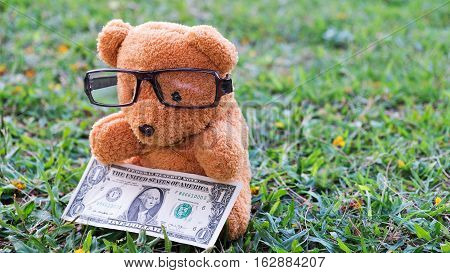 Brown teddy bear holding dollar banknote. Saving for retirement Saving for education Saving for Stability