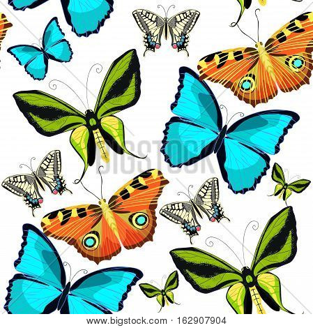 Seamless Pattern Ornithoptera Paradisea, Butterfly Wings Of A Bird Of Paradise Vector Illustration