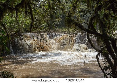 Small stream  in Kakamega Forest. Kenya, Africa