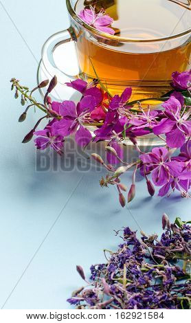 Tea Made From Fireweed. Herbal Tea. Medicinal Plants.