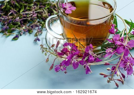Glass Cup and saucer. Useful tea. Tea from the flowers of fireweed. Fresh flowers of fireweed. Dried herb. Alternative medicine. Medicinal plants. Blue background.